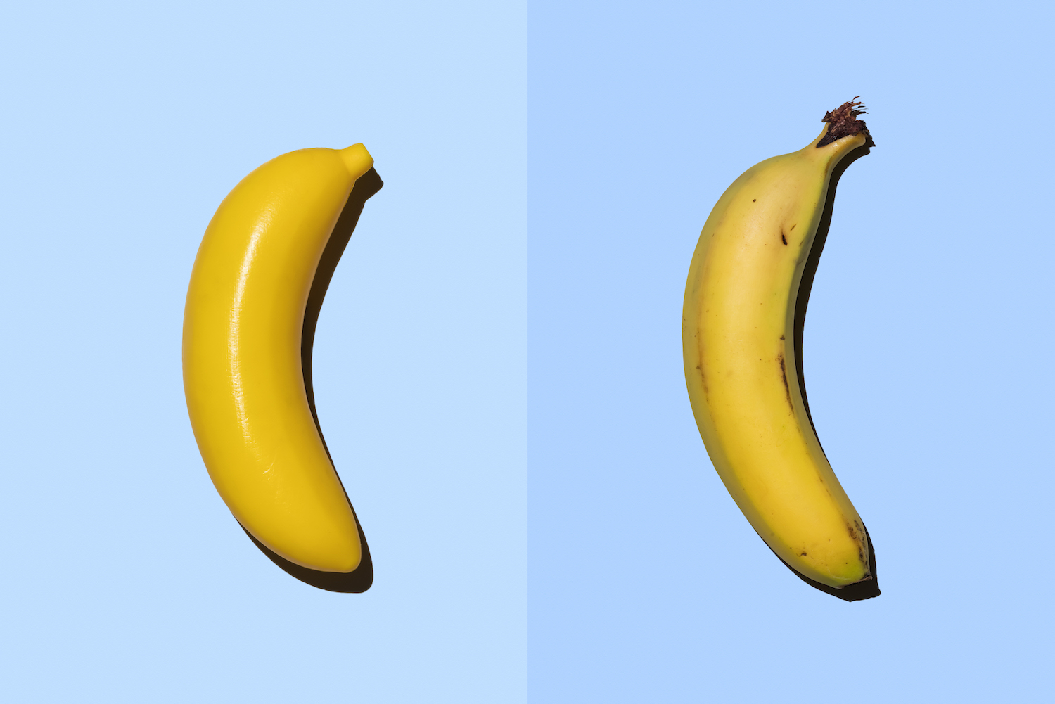 Banane en plastique à côté de la vraie banane
