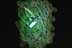 EvolutionaryScale, soutenu par Amazon et Nvidia, lève 142 millions de dollars pour l'IA génératrice de protéines